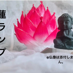 蓮ランプ　赤　RED 1枚目の画像