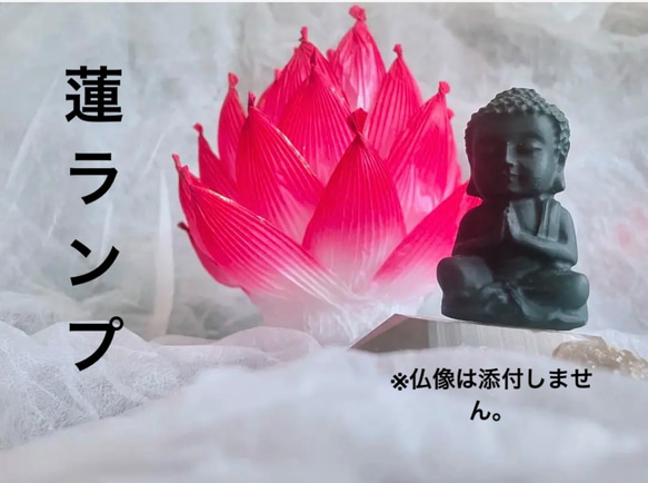蓮ランプ　赤　RED 1枚目の画像