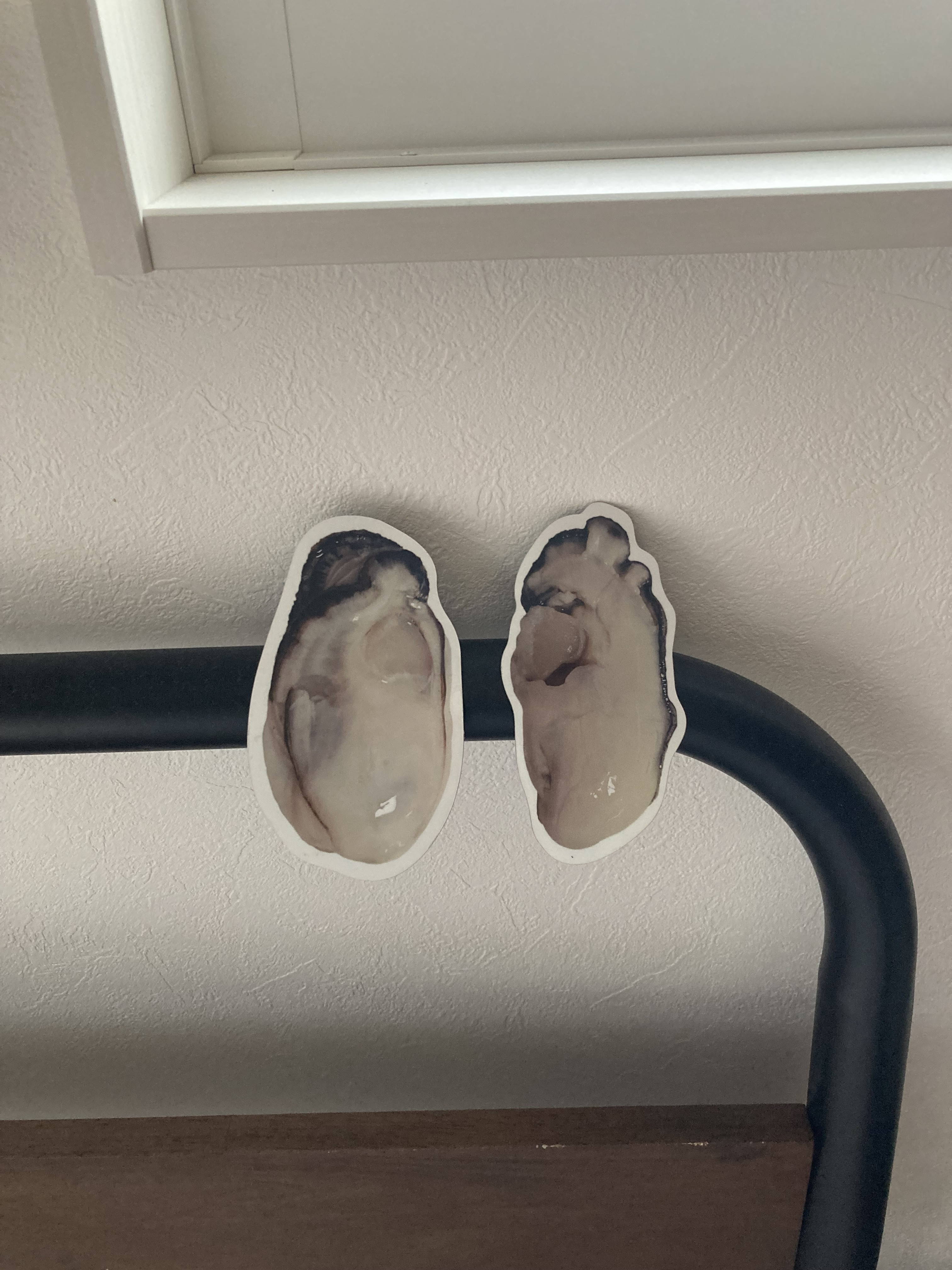 生ガキ　カーマグネット