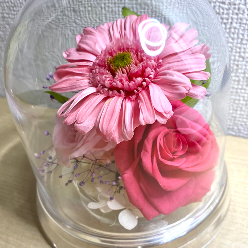 プリザーブドフラワー ドーム型 プリザーブドフラワー アトリエ花百合