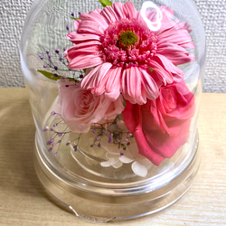 花卉12 8e5d9a6ada98e89d9cde0da6f2299e