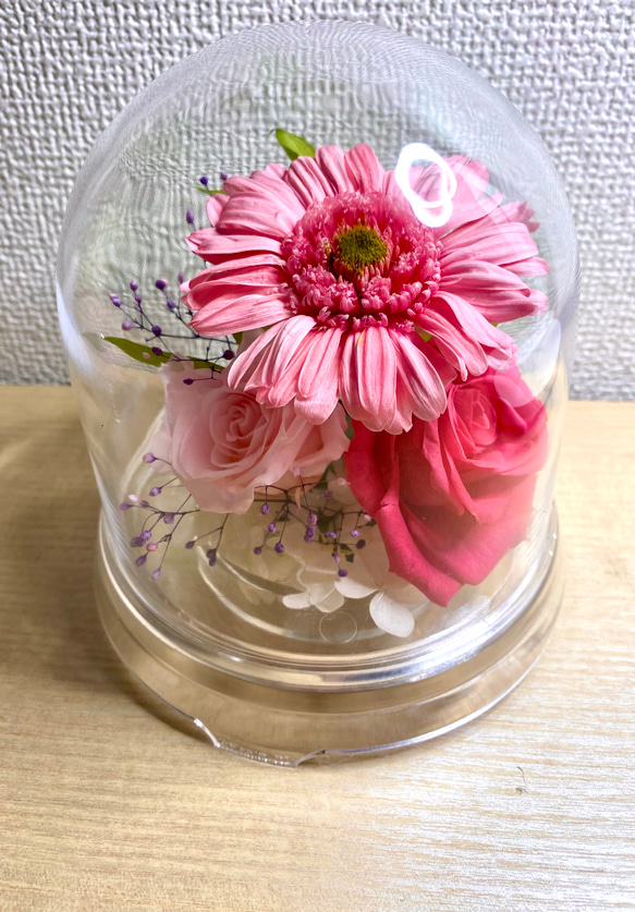 ドーム フラワー ペア 【公式通販】