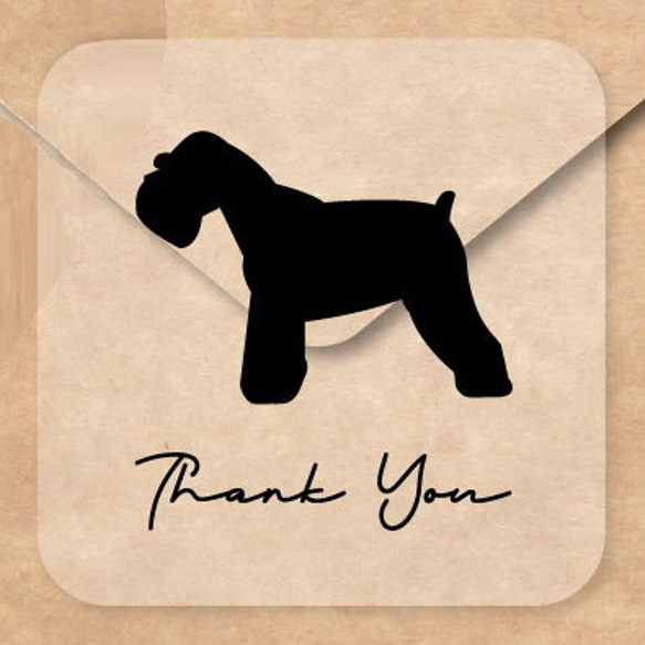 えみち☆様ご確認用♡ 犬用名札 ミニチュアシュナウザー ミニチュア