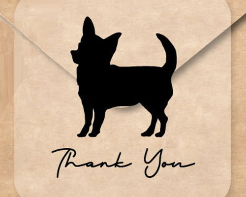 d3000ad2bb5782110318000e963bc8