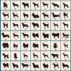 デグー_オリジナルペットシルエットネーム印はんこ_小動物グッズ_名入れ_PET-TEP_ENT_244_519 12枚目の画像