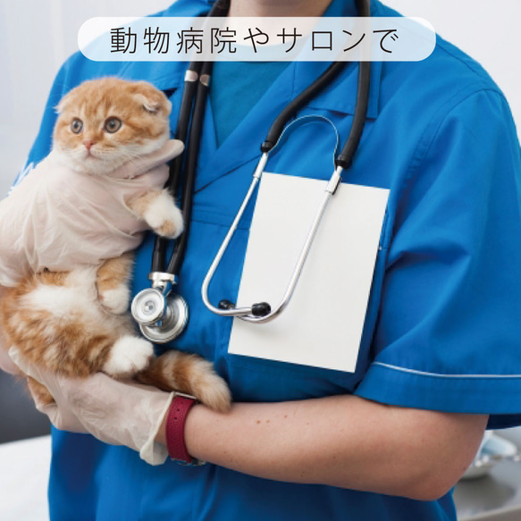 デグー_オリジナルペットシルエットネーム印はんこ_小動物グッズ_名入れ_PET-TEP_ENT_244_519 6枚目の画像