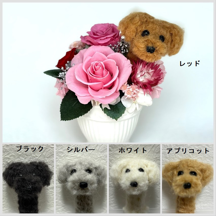 ちょこんと顔出す　トイプードル(右側）＆　プリザーブドフラワー（ピンク・赤色系）/　犬　ペット　羊毛フエルト　花　犬好き