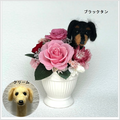 ちょこんと顔出す ダックスフンド(右側）＆ プリザーブドフラワー