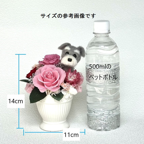 ちょこんと顔出す ダックスフンド(右側）＆ プリザーブドフラワー