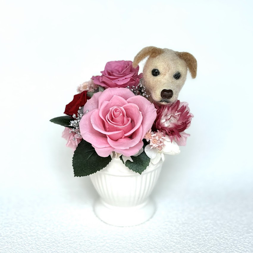ちょこんと顔出す　ラブラドールレトリバー(右側）＆　プリザーブドフラワー（ピンク・赤色系）/犬　羊毛フエルト　花　犬好き