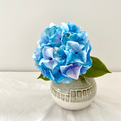 214f596de17d294c7cec04d9a70151