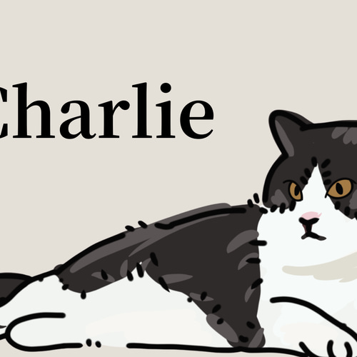 似顔絵イラストオーダーsampleページ☆ 似顔絵イラストオーダーsampleページ☆ 色鉛筆 2000色