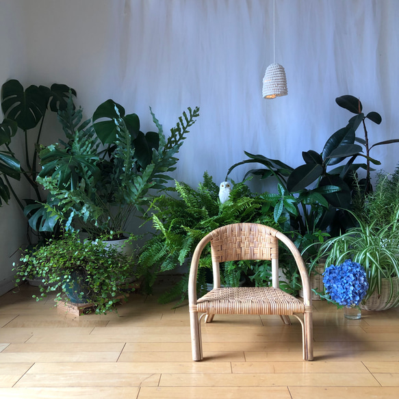 専用：2脚）ラタン製ベビー・キッズチェアー 皮籐タイプ Momo Rattan 