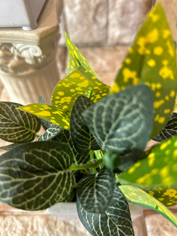光触媒　人工観葉植物　ウォールグリーン　フェイクグリーン　3種観葉アレンジj 10枚目の画像