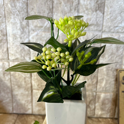 光触媒　人工観葉植物　ウォールグリーン　フェイクグリーン　3種観葉アレンジj 5枚目の画像