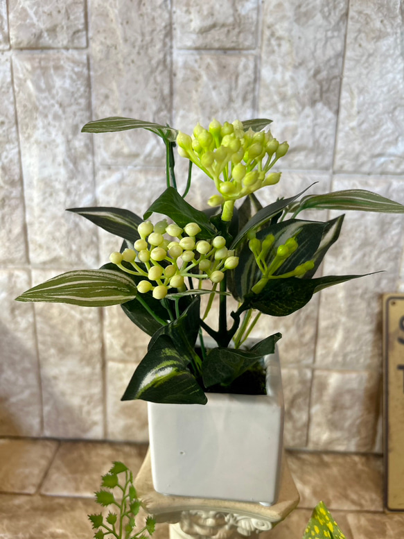 光触媒　人工観葉植物　ウォールグリーン　フェイクグリーン　3種観葉アレンジj 5枚目の画像