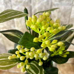 光触媒　人工観葉植物　ウォールグリーン　フェイクグリーン　3種観葉アレンジj 6枚目の画像