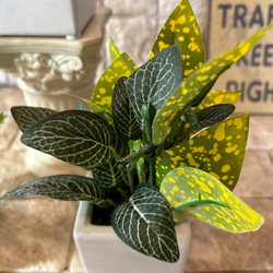 光触媒　人工観葉植物　ウォールグリーン　フェイクグリーン　3種観葉アレンジj 9枚目の画像