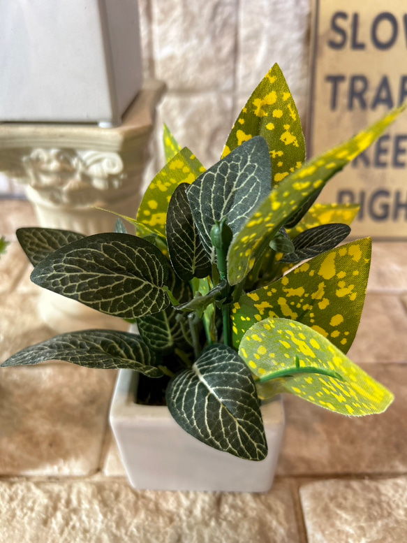 光触媒　人工観葉植物　ウォールグリーン　フェイクグリーン　3種観葉アレンジj 9枚目の画像