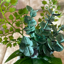 光触媒　人工観葉植物　ウォールグリーン　フェイクグリーン　3種観葉アレンジj 8枚目の画像