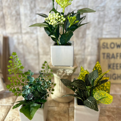 光触媒　人工観葉植物　ウォールグリーン　フェイクグリーン　3種観葉アレンジj 3枚目の画像