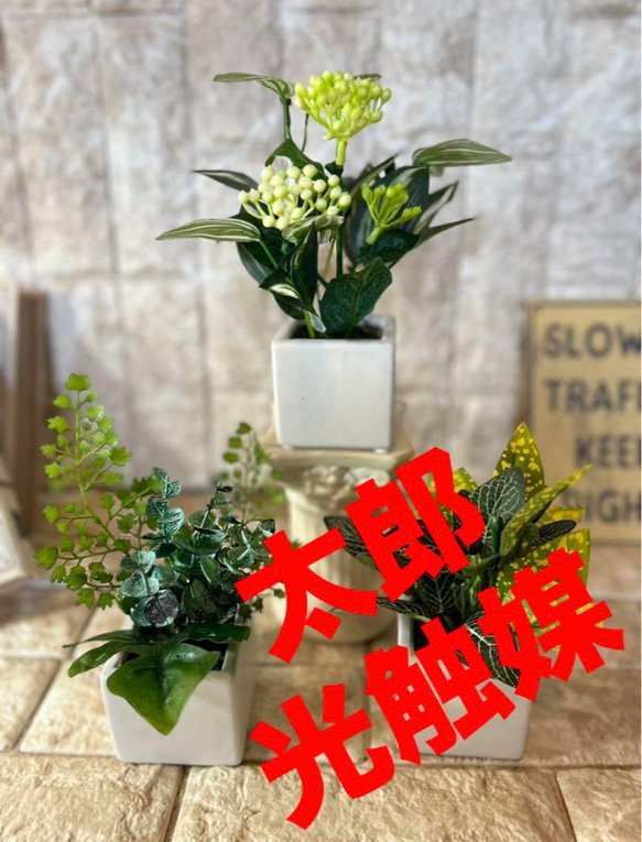 光触媒　人工観葉植物　ウォールグリーン　フェイクグリーン　3種観葉アレンジj 1枚目の画像