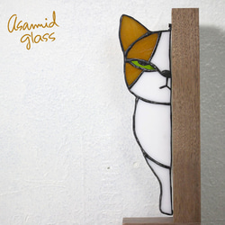 ステンドグラス　こちらを見つめるジト目の猫ちゃん　ハチワレ茶白 5枚目の画像