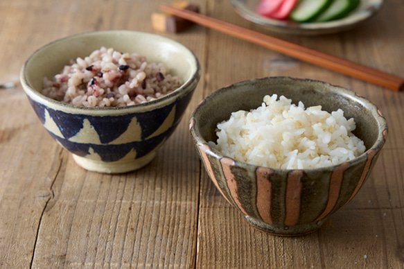 RO-5005A 美濃焼伝統工芸士 路山窯 組飯碗揃【日本製】（陶器