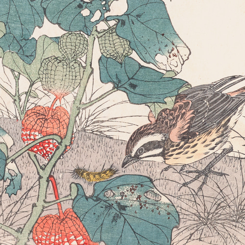 鬼灯と雀の花鳥図日本画アートポスター☆和モダン浮世絵和室