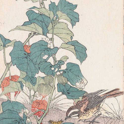 鬼灯と雀の花鳥図日本画アートポスター☆和モダン浮世絵和室