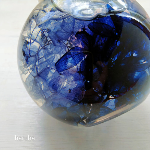 神秘的なハーバリウム 深海 地球 宇宙 星 紫陽花 ハーバリウム・植物