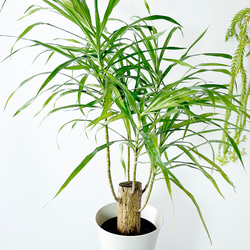 e7166a734f514eb6e080a2604057dc