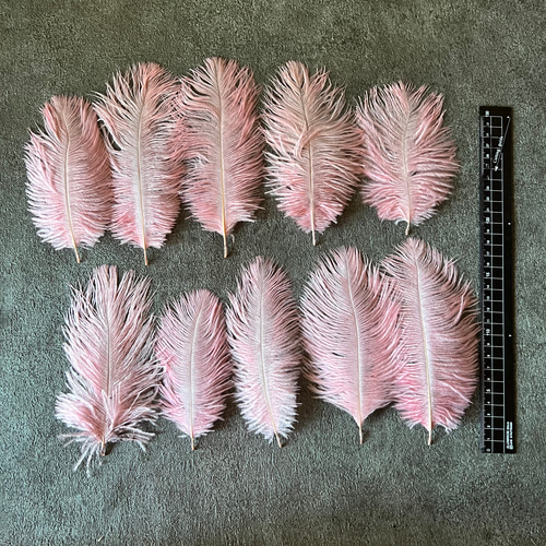 再入荷❤️【オーストリッチ 各色】❤️再入荷❤️ダチョウ