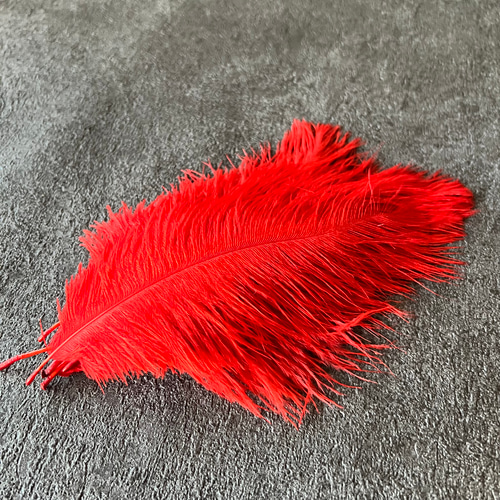 再入荷❤️【オーストリッチ 各色】❤️再入荷❤️ダチョウ