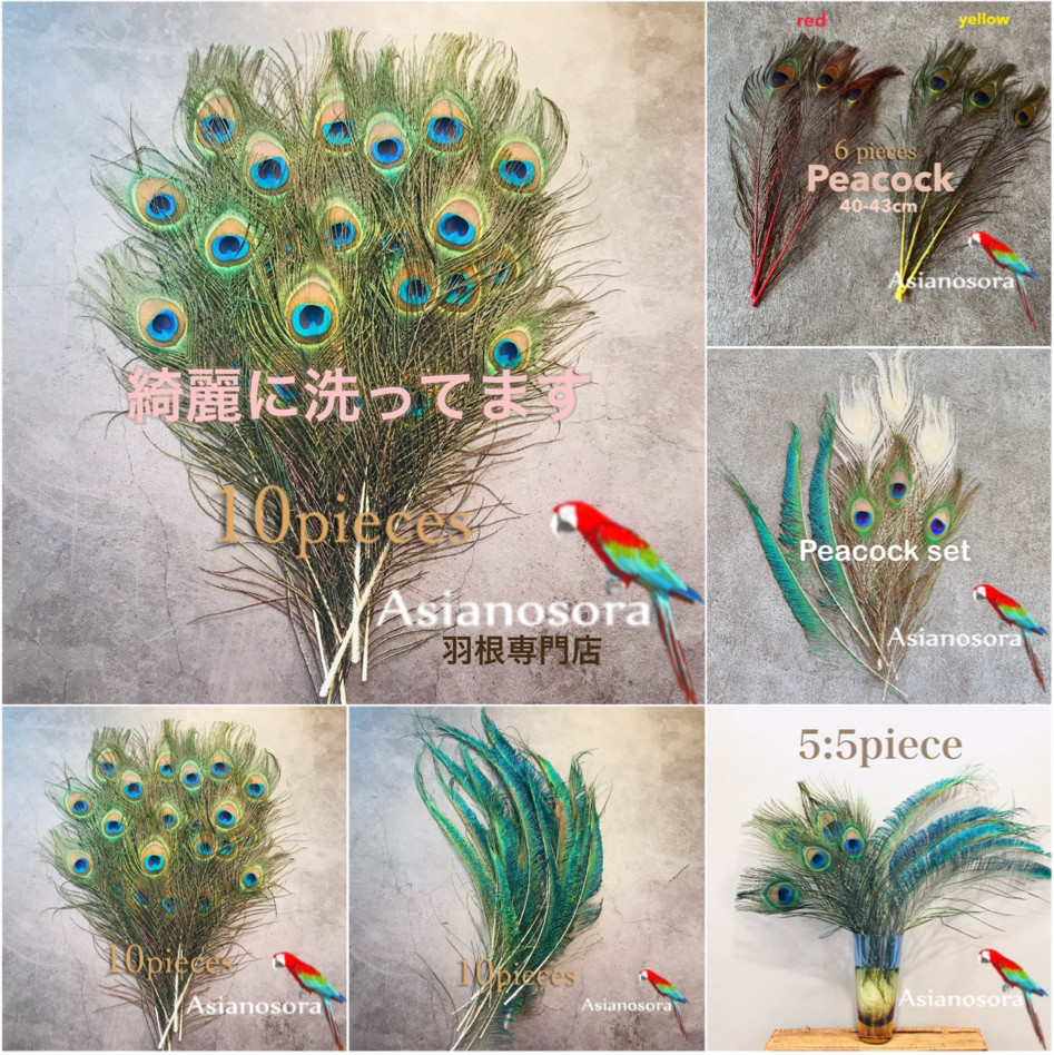 素材 パーツ 目玉 】孔雀の羽根 100枚■【クジャク 鳥 羽根