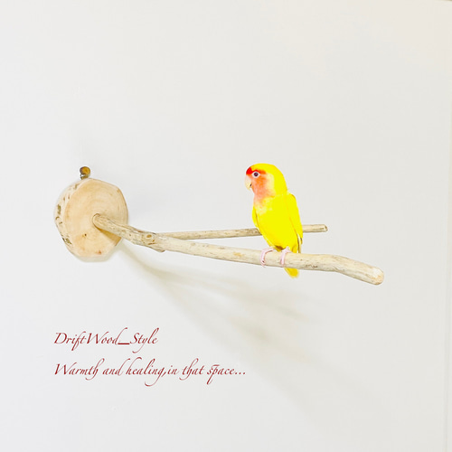 Amazon | 【CS Cutespace cute+space】 インコ とまり木 (2個