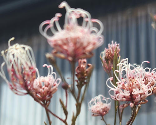 da9b6661d72d5cf67ab1827fc83545