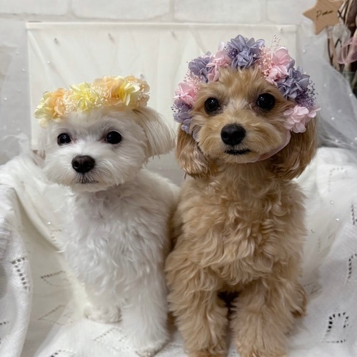 送料無料】ペット用花冠 リボンが選べる ピンク 犬 猫 うさぎ 花かん
