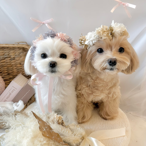 送料無料】ペット用花冠 リボンが選べる ピンク 犬 猫 うさぎ 花かん