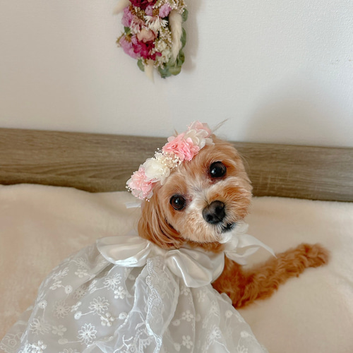 送料無料】ペット用花冠 リボンが選べる ピンク 犬 猫 うさぎ 花かん