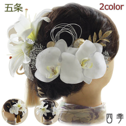 522005ef129fe83c6ff5505d65379c