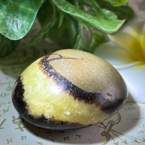 セプタリアン　原石　ドラゴンストーン　水晶 71Qc-L527OL._AC_UF894,