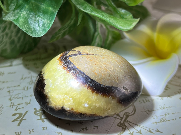 ドラゴンストーンঌ セプタリアン セブタリア タンブル 原石 天然石