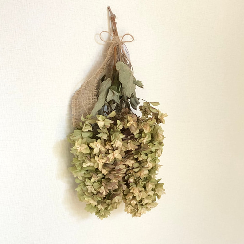 ★★あじさいタワシ★★ アシックス商事 ハダシウォーカー GTX 紳士ウォーキングシューズ 3E