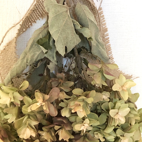特価】柏葉あじさい スワッグ 2本 37cm ＊ アジサイ 紫陽花
