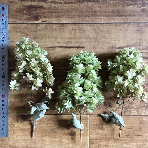 カシワバアジサイ ドライフラワー 7本 【3】＊ 柏葉紫陽花