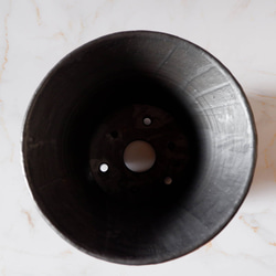 8号白円黒鉢471　塊根植物　多肉植物　盆栽　植木鉢　作家鉢　沖縄 5枚目の画像