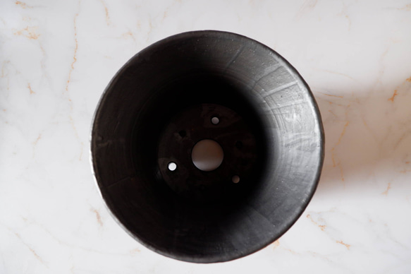 8号白円黒鉢471　塊根植物　多肉植物　盆栽　植木鉢　作家鉢　沖縄 5枚目の画像