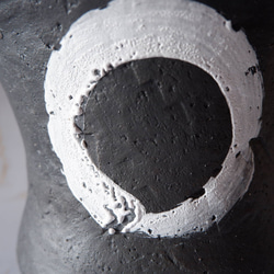 8号白円黒鉢471　塊根植物　多肉植物　盆栽　植木鉢　作家鉢　沖縄 2枚目の画像