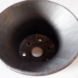 8号白円黒鉢471　塊根植物　多肉植物　盆栽　植木鉢　作家鉢　沖縄 4枚目の画像